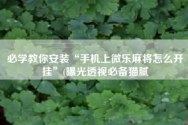 必学教你安装“手机上微乐麻将怎么开挂”(曝光透视必备猫腻