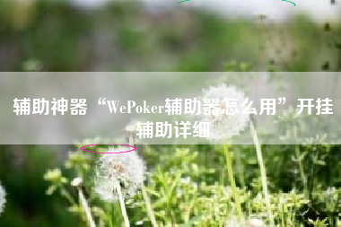 辅助神器“WePoker辅助器怎么用”开挂辅助详细