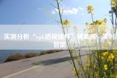 实测分析“wpk透视插件	”辅助器 - 实时智能