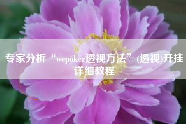 专家分析“wepoker透视方法	”(透视)开挂详细教程