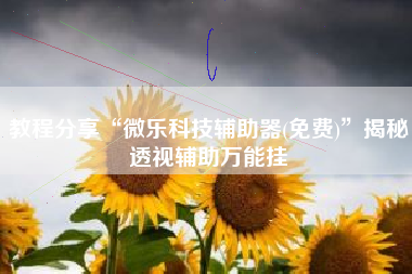 教程分享“微乐科技辅助器(免费)”揭秘透视辅助万能挂