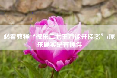 必看教程“微乐二七王万能开挂器”(原来确实是有插件