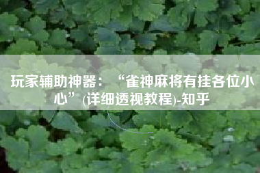 玩家辅助神器：“雀神麻将有挂各位小心	”(详细透视教程)-知乎