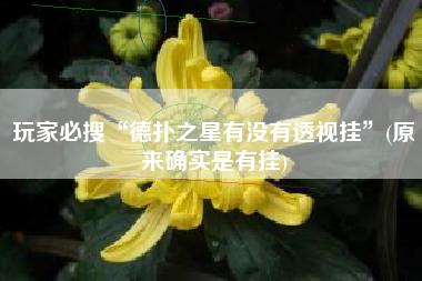玩家必搜“德扑之星有没有透视挂”(原来确实是有挂)