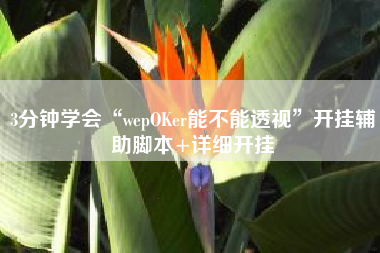 3分钟学会“wepOKer能不能透视”开挂辅助脚本+详细开挂