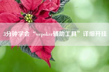 3分钟学会“wepoker辅助工具”详细开挂