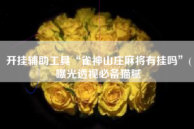 开挂辅助工具“雀神山庄麻将有挂吗”(曝光透视必备猫腻