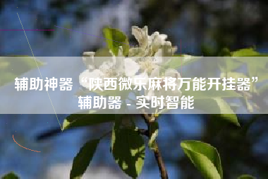 辅助神器“陕西微乐麻将万能开挂器	”辅助器 - 实时智能