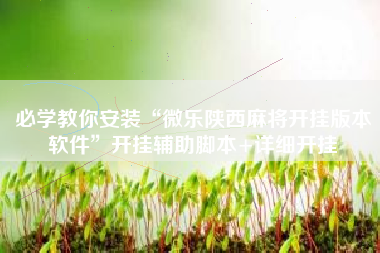 必学教你安装“微乐陕西麻将开挂版本软件”开挂辅助脚本+详细开挂