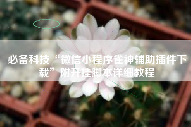 必备科技“微信小程序雀神辅助插件下载”附开挂脚本详细教程