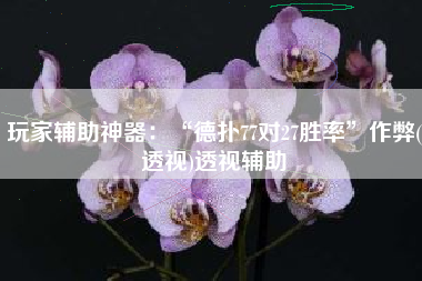 玩家辅助神器：“德扑77对27胜率”作弊(透视)透视辅助