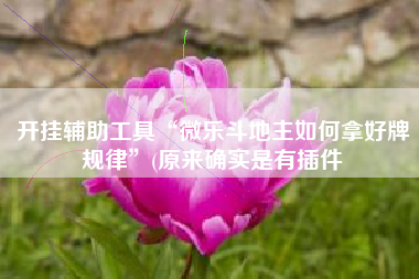 开挂辅助工具“微乐斗地主如何拿好牌规律”(原来确实是有插件