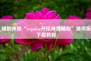 辅助神器“wepoker开挂神器辅助”通用版下载教程
