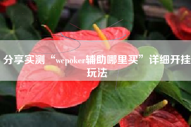 分享实测“wepoker辅助哪里买”详细开挂玩法