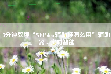 3分钟教程“WEPoker辅助挂怎么用”辅助器 - 实时智能