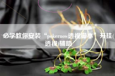 必学教你安装“pokernow透视脚本”开挂(透视)辅助