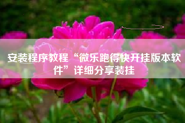 安装程序教程“微乐跑得快开挂版本软件”详细分享装挂