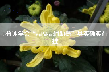 3分钟学会“wePoker辅助器”其实确实有挂