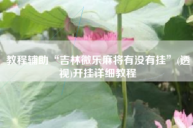 教程辅助“吉林微乐麻将有没有挂	”(透视)开挂详细教程