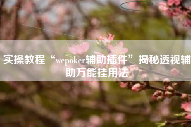 实操教程“wepoker辅助插件”揭秘透视辅助万能挂用法
