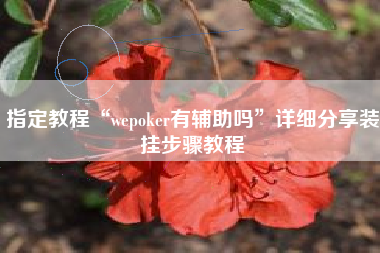 指定教程“wepoker有辅助吗”详细分享装挂步骤教程
