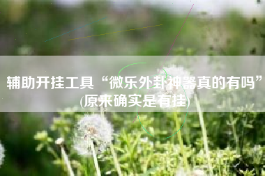 辅助开挂工具“微乐外卦神器真的有吗	”(原来确实是有挂)