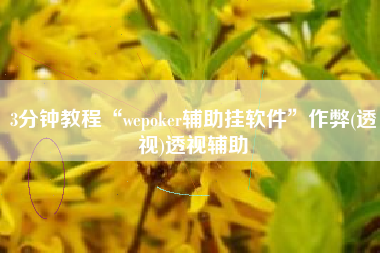 3分钟教程“wepoker辅助挂软件	”作弊(透视)透视辅助