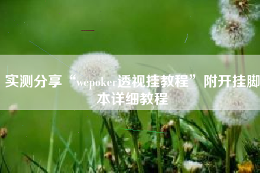 实测分享“wepoker透视挂教程”附开挂脚本详细教程