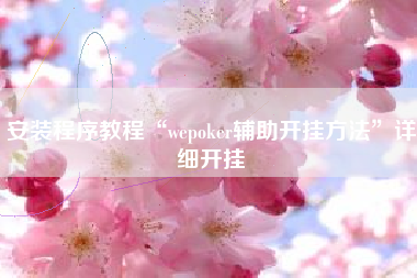 安装程序教程“wepoker辅助开挂方法”详细开挂
