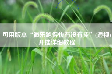 可用版本“微乐跑得快有没有挂	”(透视)开挂详细教程