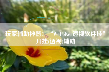 玩家辅助神器：“WePoKer透视软件挂	”开挂(透视)辅助
