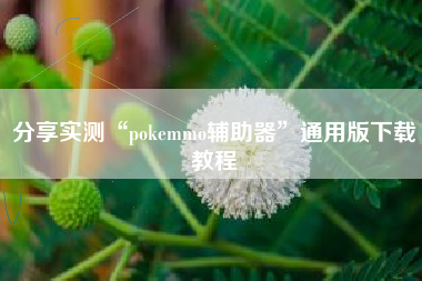 分享实测“pokemmo辅助器	”通用版下载教程