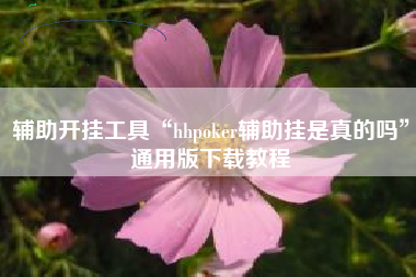 辅助开挂工具“hhpoker辅助挂是真的吗”通用版下载教程