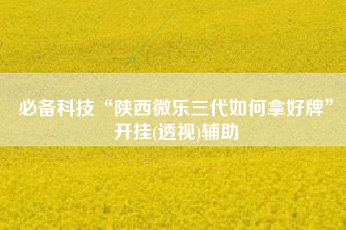 必备科技“陕西微乐三代如何拿好牌”开挂(透视)辅助
