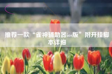 推荐一款“雀神辅助器ios版”附开挂脚本详细