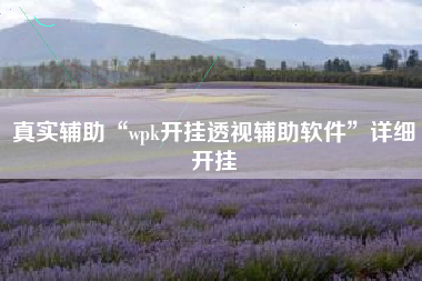 真实辅助“wpk开挂透视辅助软件	”详细开挂