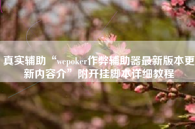 真实辅助“wepoker作弊辅助器最新版本更新内容介	”附开挂脚本详细教程