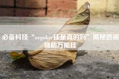 必备科技“wepoker挂是真的吗”揭秘透视辅助万能挂