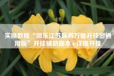 实操教程“微乐江苏麻将万能开挂器通用版”开挂辅助脚本+详细开挂