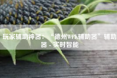 玩家辅助神器：“德州WPK辅助器”辅助器 - 实时智能