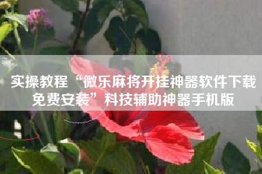 实操教程“微乐麻将开挂神器软件下载免费安装”科技辅助神器手机版