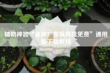 辅助神器“雀神广东麻将挂免费	”通用版下载教程