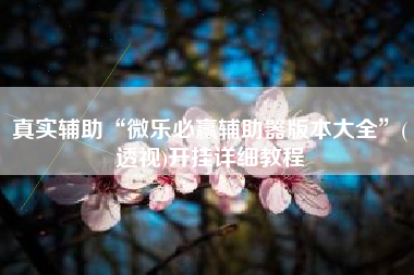 真实辅助“微乐必赢辅助器版本大全”(透视)开挂详细教程