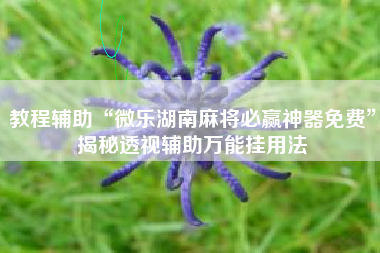 教程辅助“微乐湖南麻将必赢神器免费”揭秘透视辅助万能挂用法