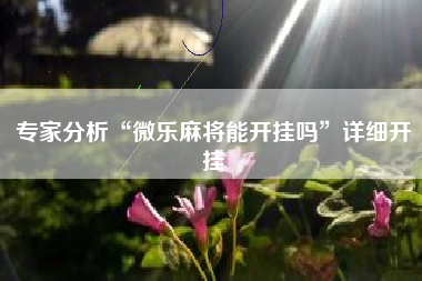 专家分析“微乐麻将能开挂吗	”详细开挂