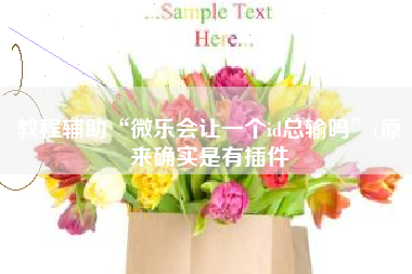 教程辅助“微乐会让一个id总输吗	”(原来确实是有插件