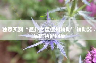 独家实测“德扑之星德州辅助”辅助器 - 实时智能回复