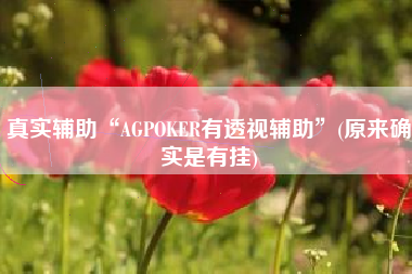 真实辅助“AGPOKER有透视辅助”(原来确实是有挂)
