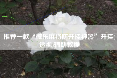 推荐一款“微乐麻将防开挂神器	”开挂(透视)辅助教程