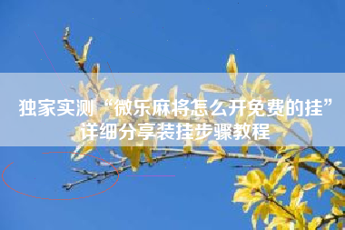 独家实测“微乐麻将怎么开免费的挂”详细分享装挂步骤教程